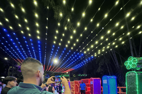 麦德林：乘坐主题车辆的圣诞灯光城市观光