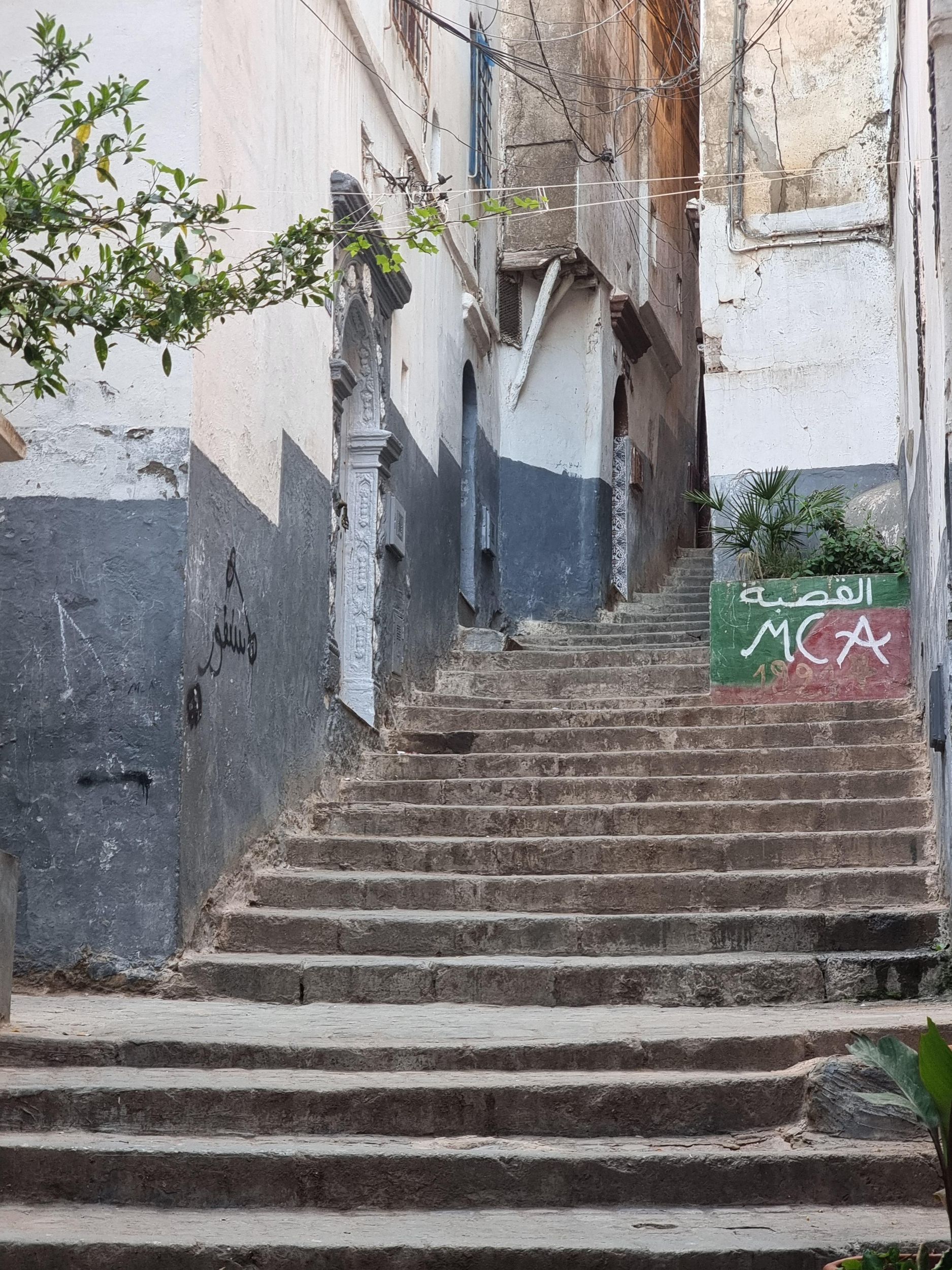 Algier & Kasbah: Rundgang durch die Altstadt