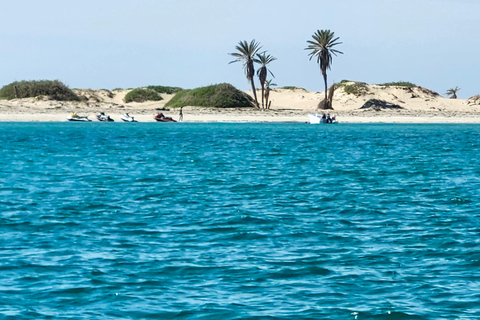 Djerba: Ride to the Pink Flamingo Peninsula by Electric Bike