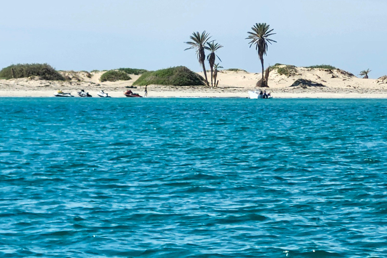 Djerba: Ride to the Pink Flamingo Peninsula by Electric Bike