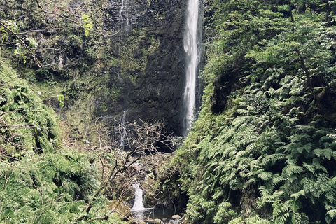 Madeira: Excursión a la Levada do Caldeirão Verde con servicio de recogida local