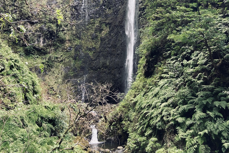 Madeira: Levada do Caldeirão Verde Wandeling met lokale ophaalservice