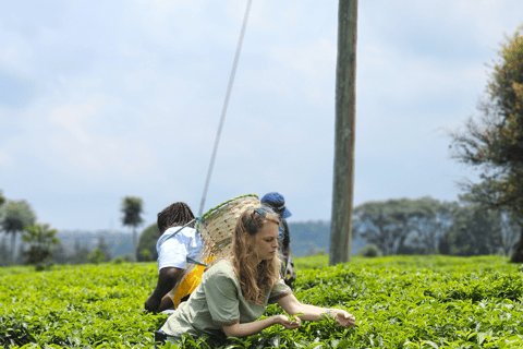 Nairobi: Limuru Tea Farm & Sensory Garden Tour