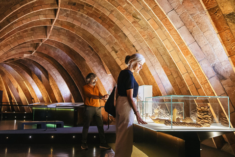 Barcelona: Casa Milà Early-Morning Access Guided Tour Tour in Chinese