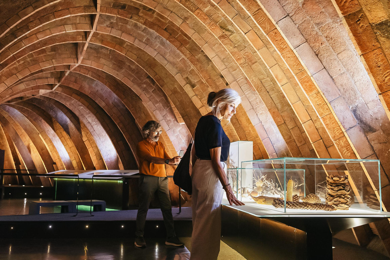 Barcelona: Casa Milà Early-Morning Access Guided Tour Tour in Chinese
