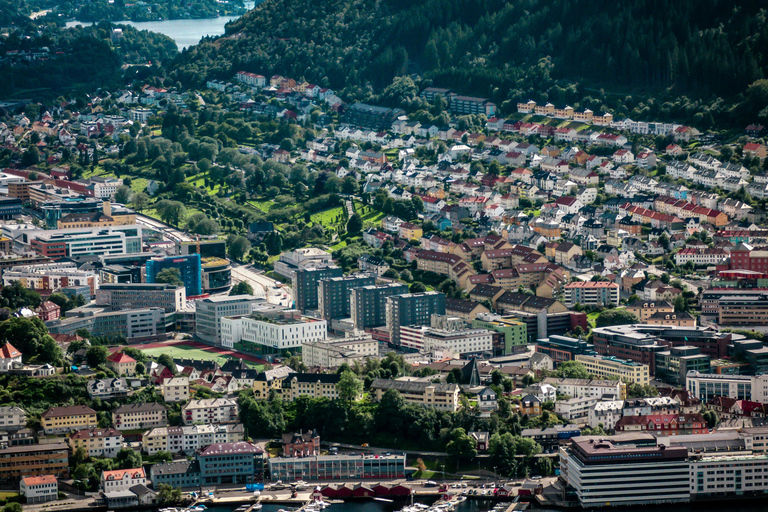 Oslo: Exclusive Hidden Gems, Waterfall & Scenic Luxury Tour