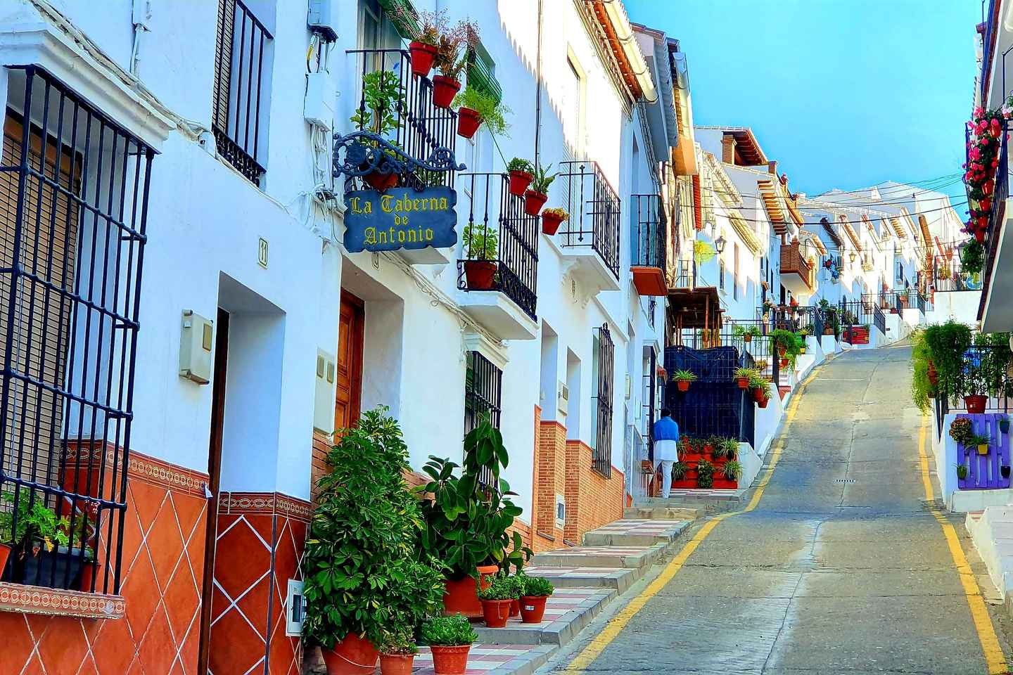 Frá Málaga: Caminito del Rey & Hvítu Þorpin með Tapas