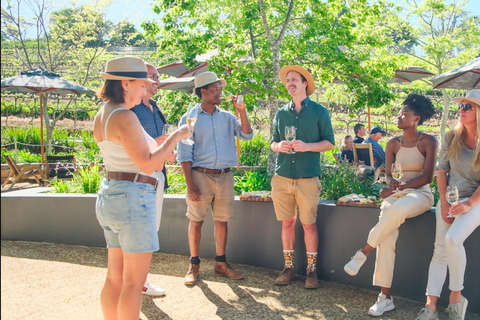 Constantia: Wine Walk with Lunch and Enchanting Stories