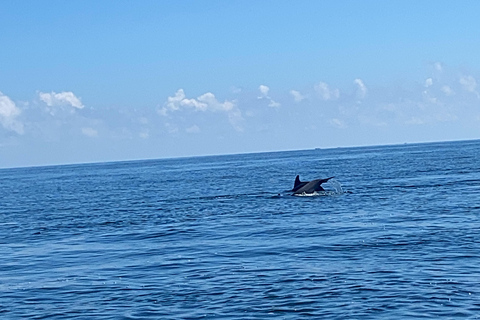 Flamingo Classic: Rio Lagartos and Las Coloradas