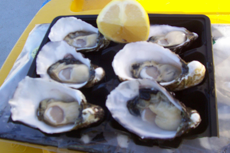 Launceston: Bay of Fires Tour with Bridestowe Lavender Farm