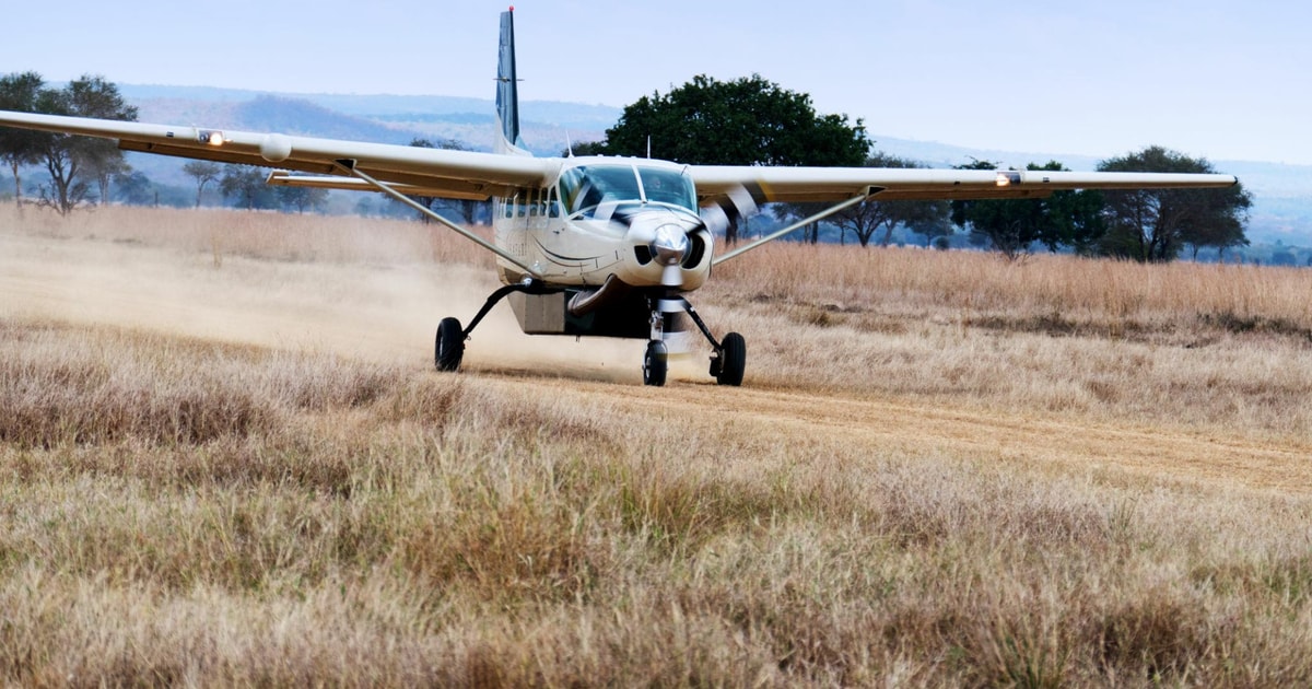 Zanzibar Day Trip Fly In Safari To Mikumi National Park GetYourGuide