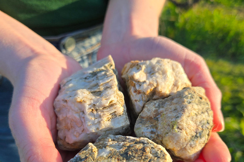 Educational hike in the Anjou vineyards Wine Hike