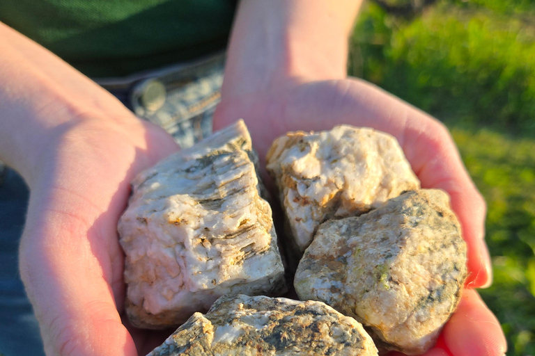 Educational hike in the Anjou vineyards Wine Hike