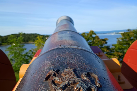 Private Inselhopping-Tour durch OsloPrivate Inselhopping-Tour in Oslo