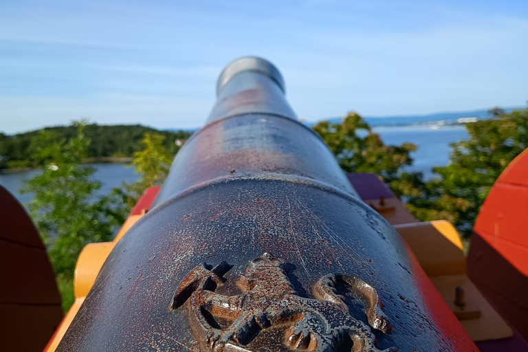 Private Inselhopping-Tour durch OsloPrivate Inselhopping-Tour in Oslo