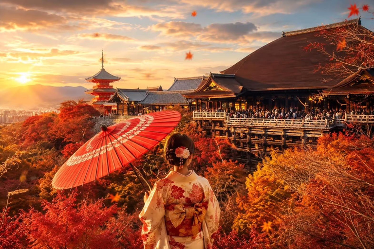 Kyoto / Nara : Kyoto & Nara Private Tour with Driver / Guide Kyoto : Kyoto Private Tour Up To 3 Persons