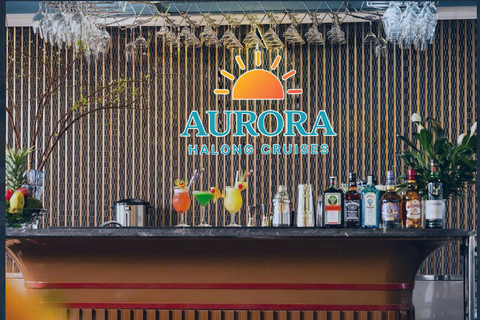 Hanoi: Aurora Halong Day Cruise - Lunch, Kayak, Swim, Cave from Halong: Cruise with Buffet, Kayaking (No transfer)