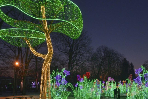 皇家花园灯光：维拉努夫宫夜间活动英语、西班牙语、德语、俄语、波兰语导览