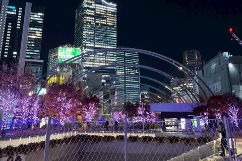 Tokyo Night Walk: Shibuya & Shinjuku Hidden Alleys Private Tour