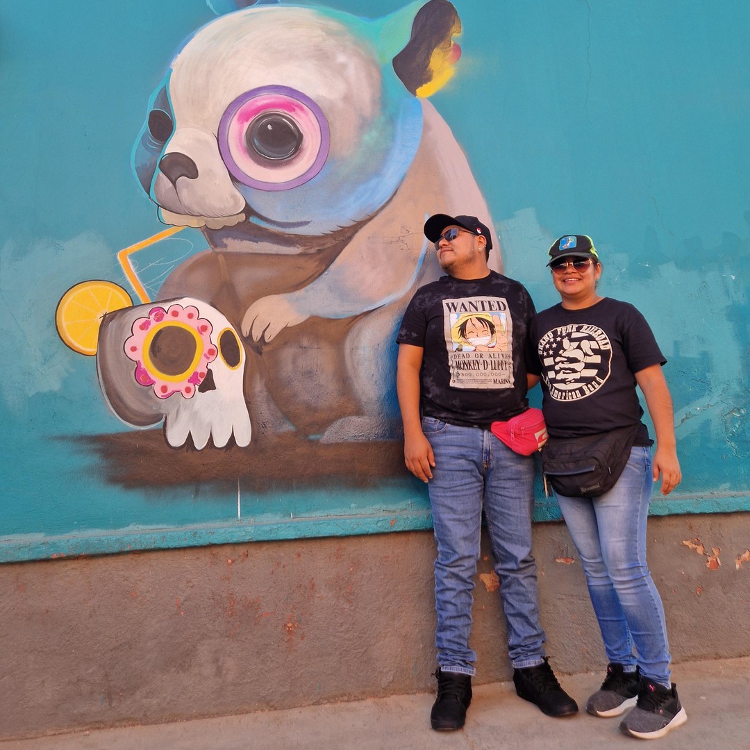 Galería de fotos para redes