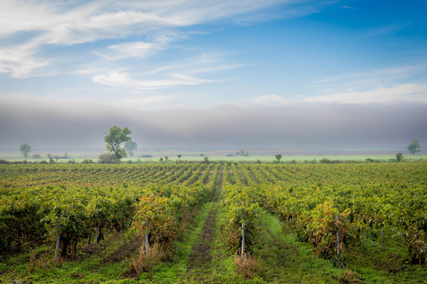 Spa &amp; Culture Tour: Velingrad and Plovdiv Region (9 Days)