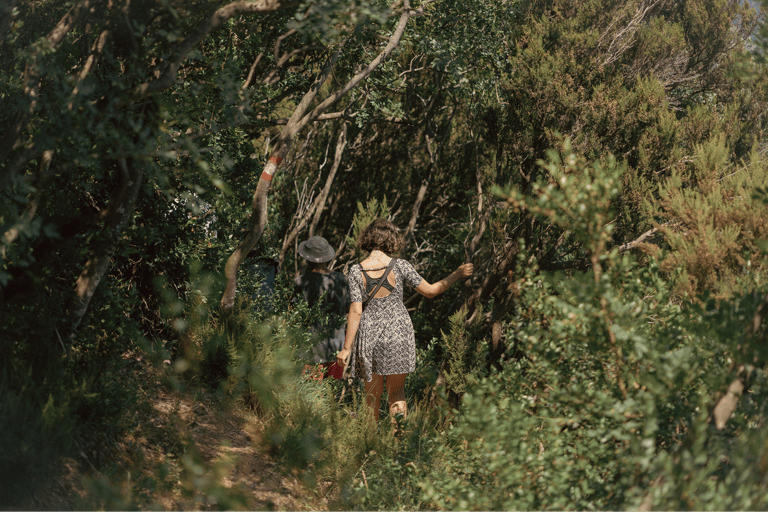 Budva: Kayak & Hike Experience on Sveti Nikola Island