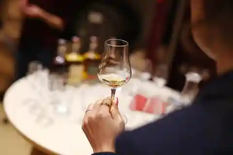 Zagreb: Degustação de bebidas espirituosas e visita à destilaria