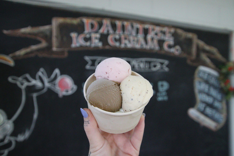 Port Douglas: Daintree Rainforest, Ziplining & Reef - 2 Days Private Double/Twin with Ensuite