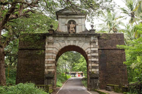 Utforska Divar Island:Natur &amp; båtliv på bakvattnet i norra GoaUpptäckt av Divar Island: Naturäventyr i norra Goa