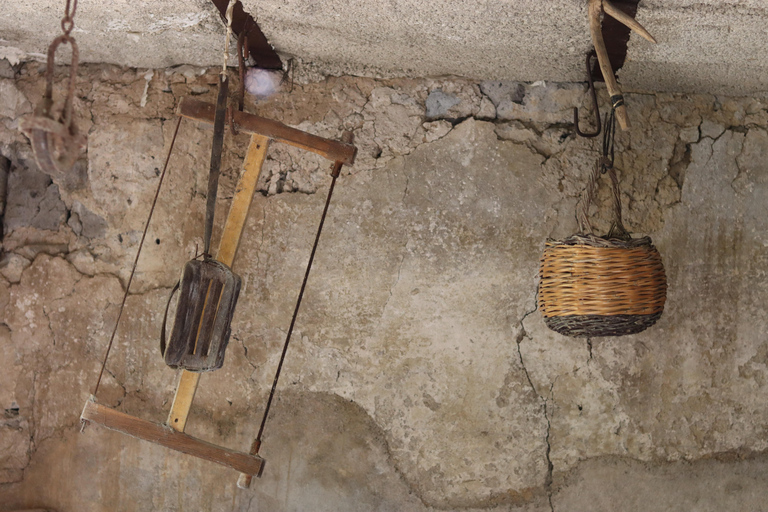 Sorrento: Geführte Besichtigung der Olivenmühle mit Verkostung