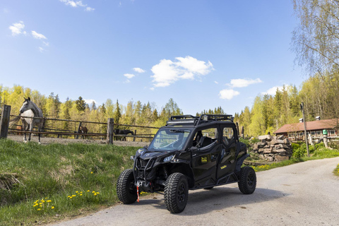 赫尔辛基：驯鹿公园与马厩私人游赫尔辛基：驯鹿公园与马厩私人导览游