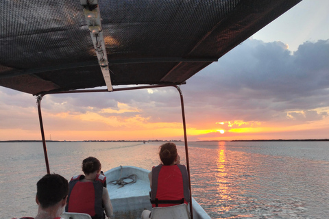 Excursión con flamencos Río Lagartos, Yucatán 2 horas