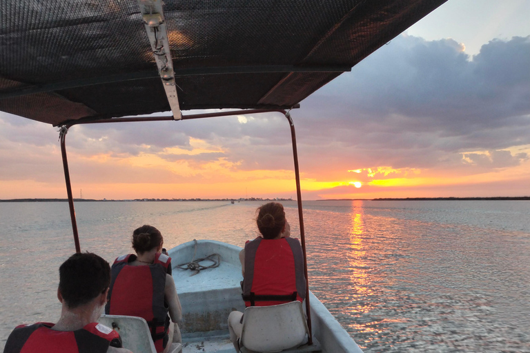 Tour dei fenicotteri Rio Lagartos, Yucatan 2 ore