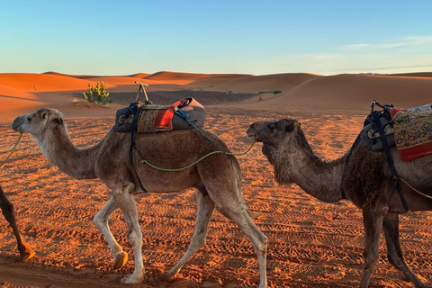 From Marrakech: 3-Day Merzouga Tour with Camel Trek & Luxury Camp Shared Standard Sahara Tour – Popular Choice
