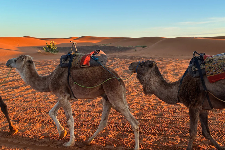 From Marrakech: 3-Day Merzouga Tour with Camel Trek & Luxury Camp Shared Standard Sahara Tour – Popular Choice