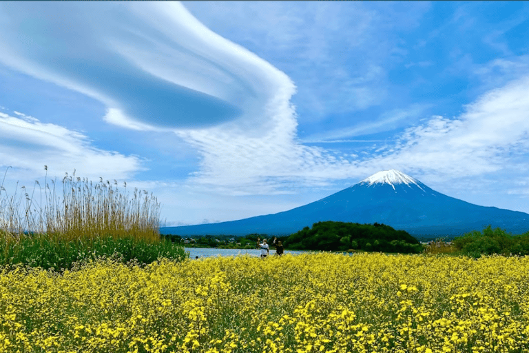 Von Tokio aus: Mount Fuji Customize Day Tour mit englischem Fahrer