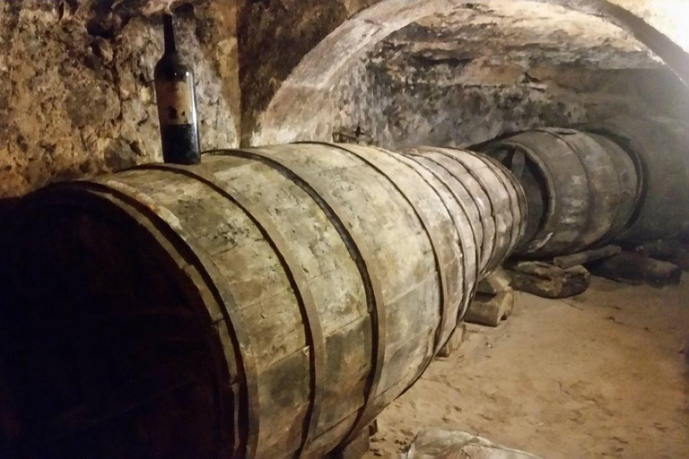 Aranda de Duero: Guided and Dramatized Visit to Medieval Wi