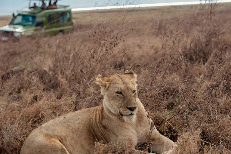 Arusha: 2-Day Lake Manyara & Ngorongoro Crater Safari
