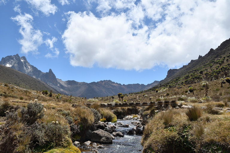 1-dniowa wycieczka piesza do Parku Narodowego Mt. KenyaMT Kenya turystyka piesza