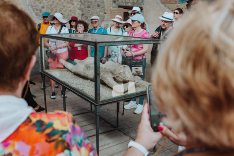 Pompeii Small Group Tour with transportation from Naples