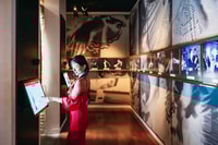 Sevilla, espectáculo de flamenco con boleto opcional del museo de flamenco - Housity