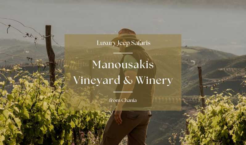 Safáris de luxo em jipe em Chania: Manousakis Vineyard & Winery (Vinhedo e Vinícola Manousakis)