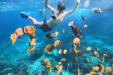 Bali: Nusa Penida Snorkeling and Island Tour with Lunch