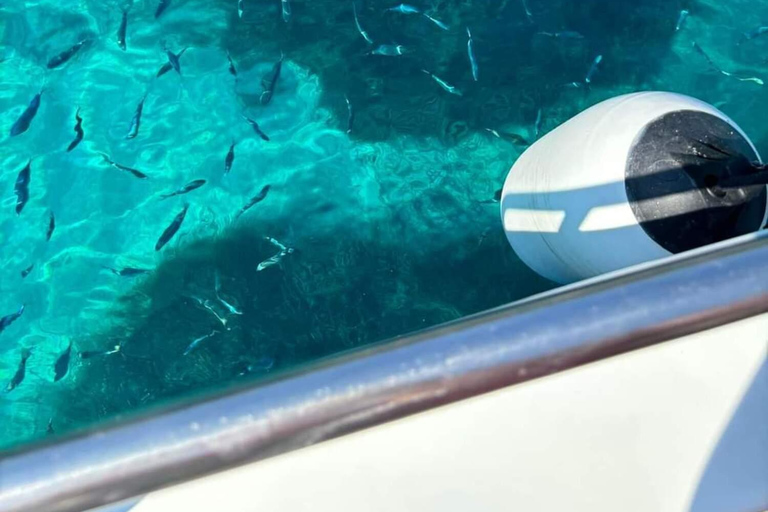From Lefkimmi: Paxos Antipaxos & Blue Caves Speedboat Cruise