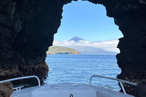 Isla de Faial: Tour en barco único al volcán Capelinhos