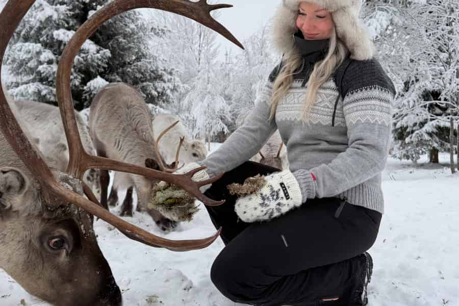 Privates und authentisches Rentiererlebnis auf dem heimischen Bauernhof. Foto: GetYourGuide Privates und authentisches Rentiererlebnis auf dem heimischen Bauernhof. Foto: GetYourGuide