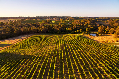 From Perth: Margaret River Premium Wine & Nature Escape