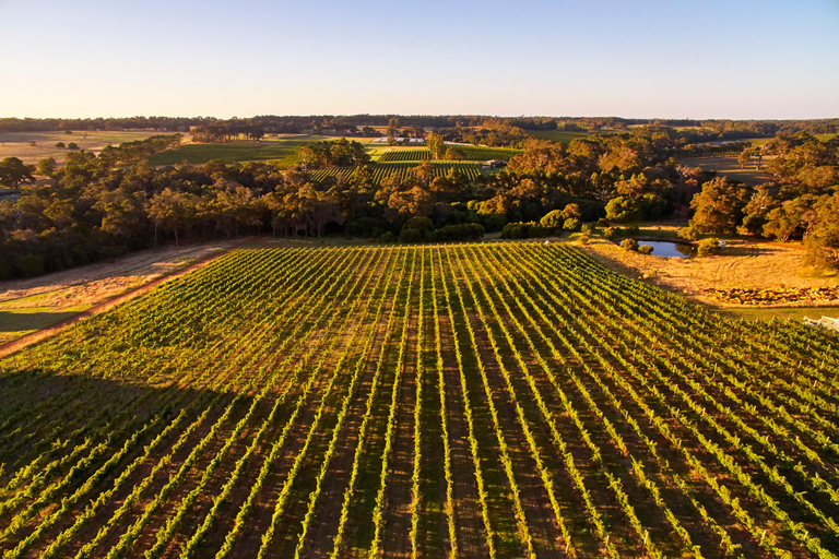 From Perth: Margaret River Premium Wine & Nature Escape