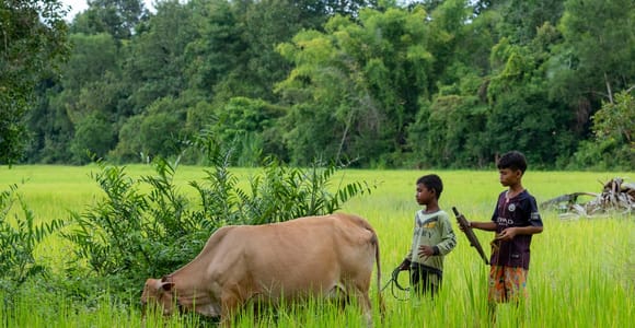 6-Day Authentic Cambodia Tour from Siem Reap to Battambang