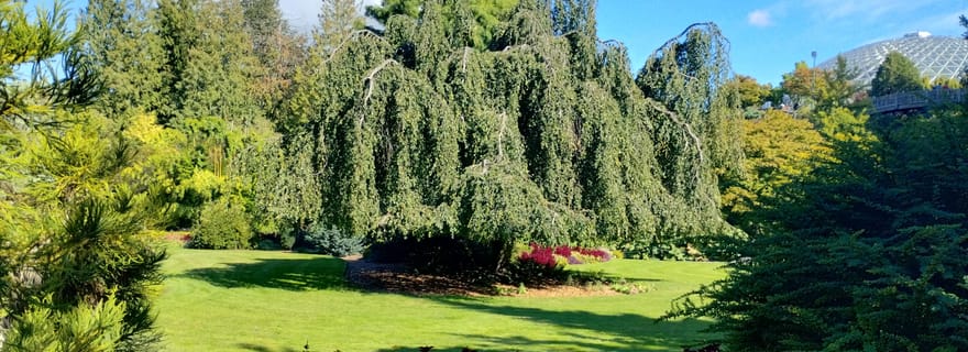 Tour de Vancouver en voiture : Voyez toutes les attractions de la ville, économisez du temps et de l'argent